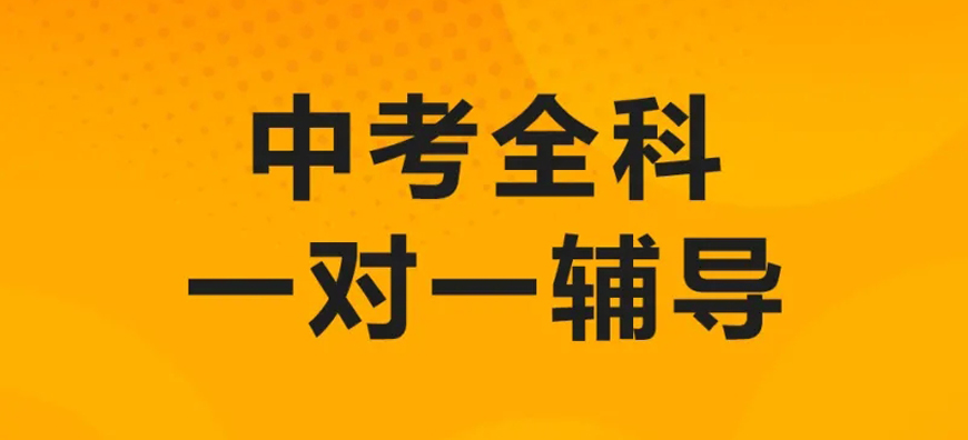 东莞市有实力的小初高个性化一对一辅导机构top10名单一览