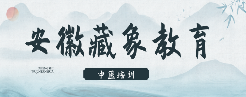 安徽省合肥市排名前十的中医针灸培训班排行榜甄选一览