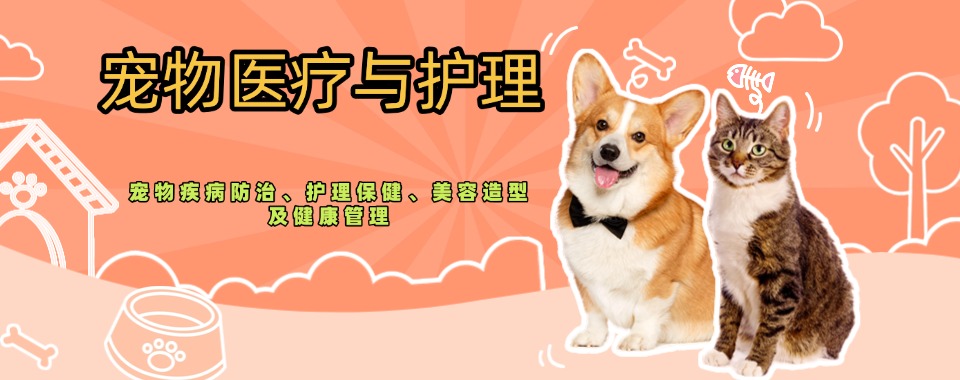 口碑王炸!浙江省杭州市宠物医疗与护理培训机构排名新鲜出炉