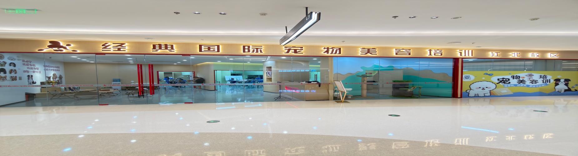 2026南京市江北区为你介绍几家优质的宠物美容培训学校