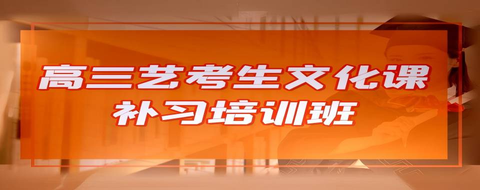 上海市高三艺考文化课培训机构：定制化教学方案,满足个性需求