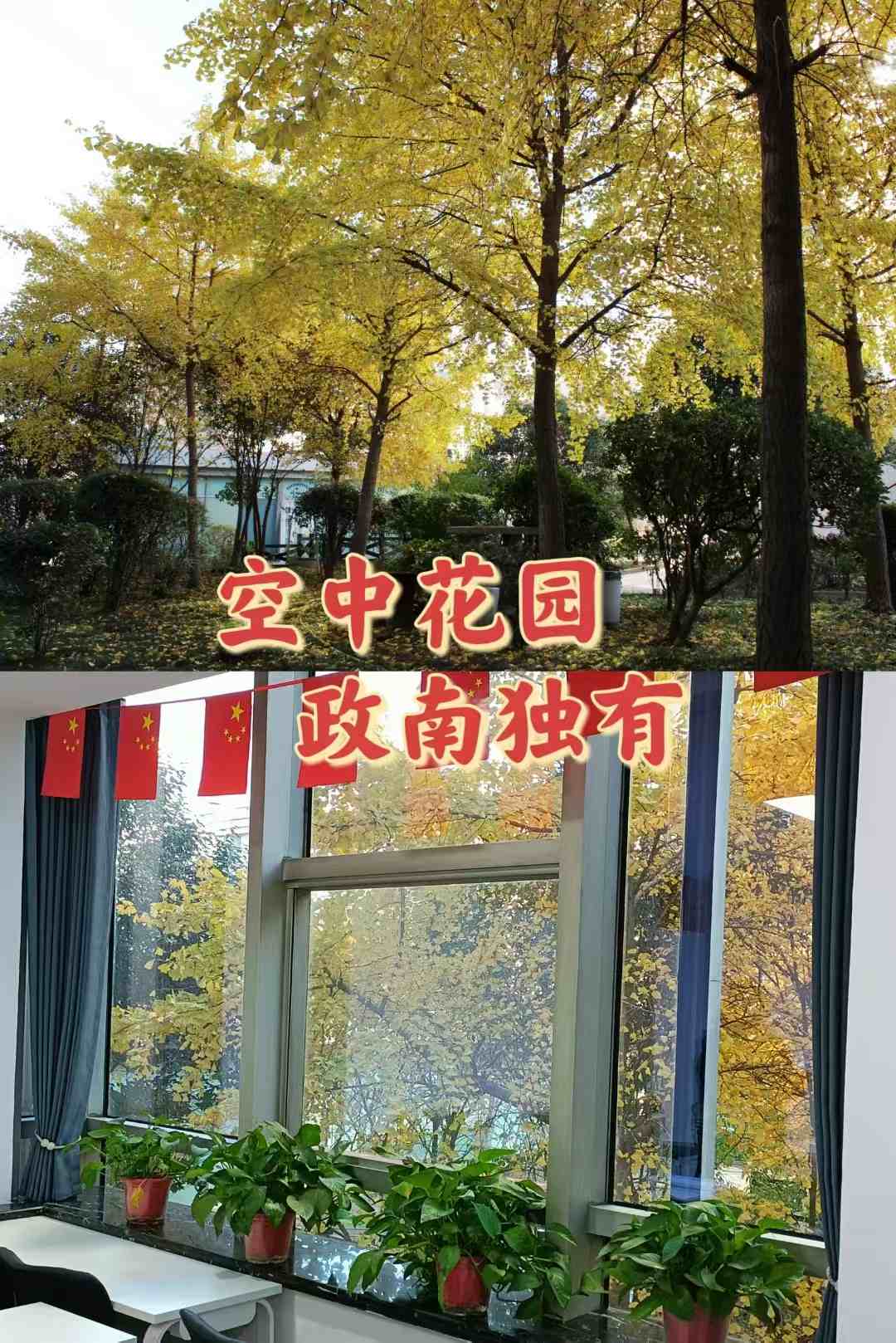 2026陕西省西安市口碑良好的几家公务员考试培训辅导机构