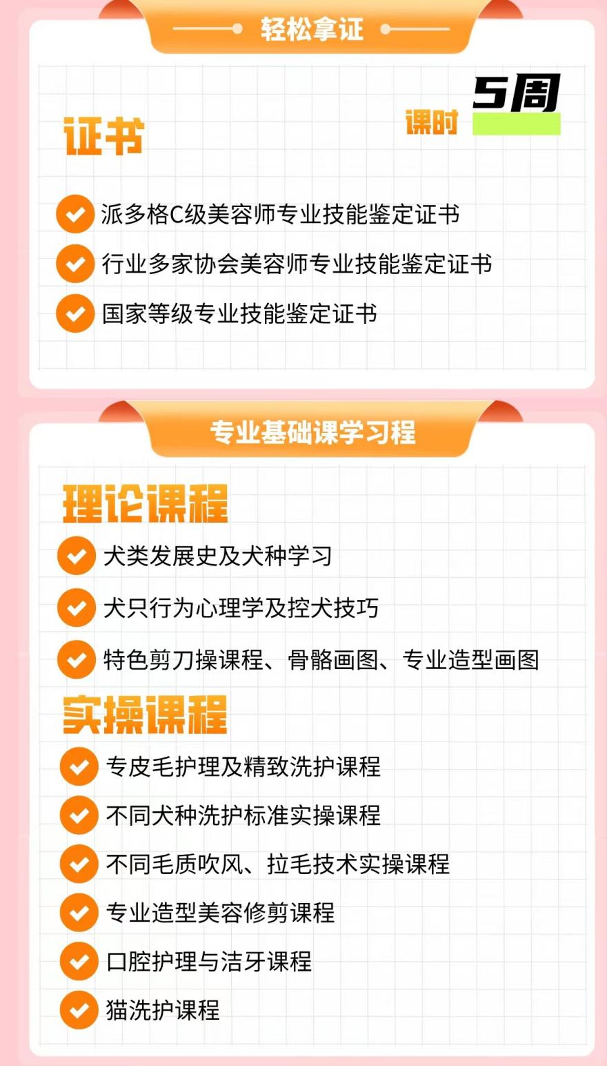 快收藏！广西南宁宠物美容培训排名名单出炉