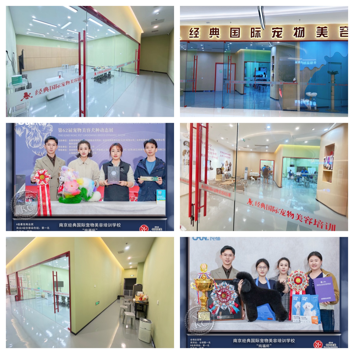 2026南京市栖霞区宠物美容培训机构哪家优,开启宠物生命探索之旅!