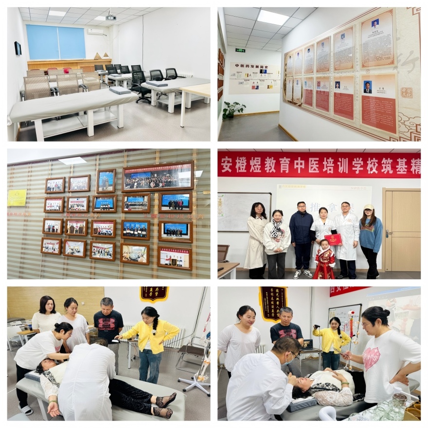 陕西师资精良的中医专长医师考核培训班精选排名