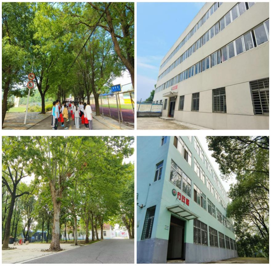 今日热门|湖北荆门实力强的网瘾戒除培训学校名单公布