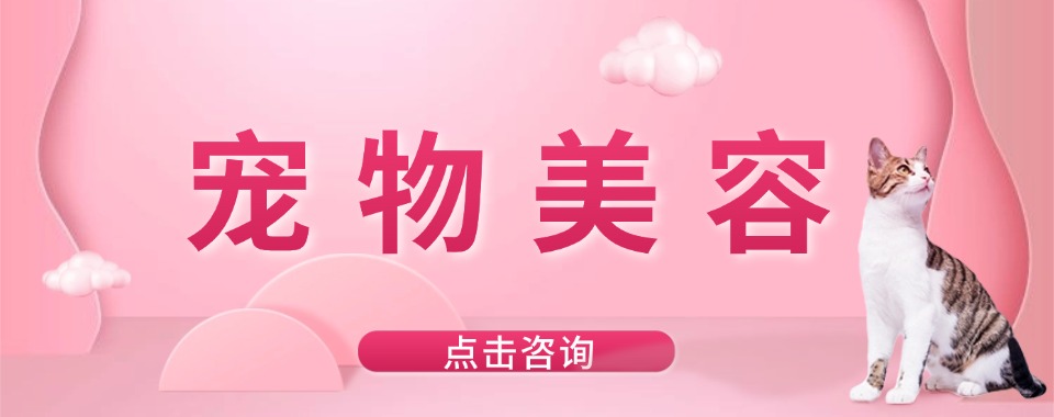 江苏南京市宠物美容师培训机构TOP10实力评估与选择参考