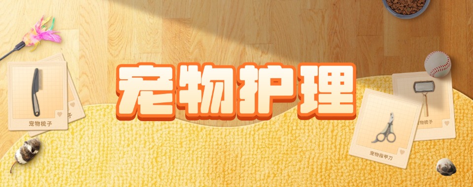 上海地区好就业的宠物护理培训机构最新名单出炉