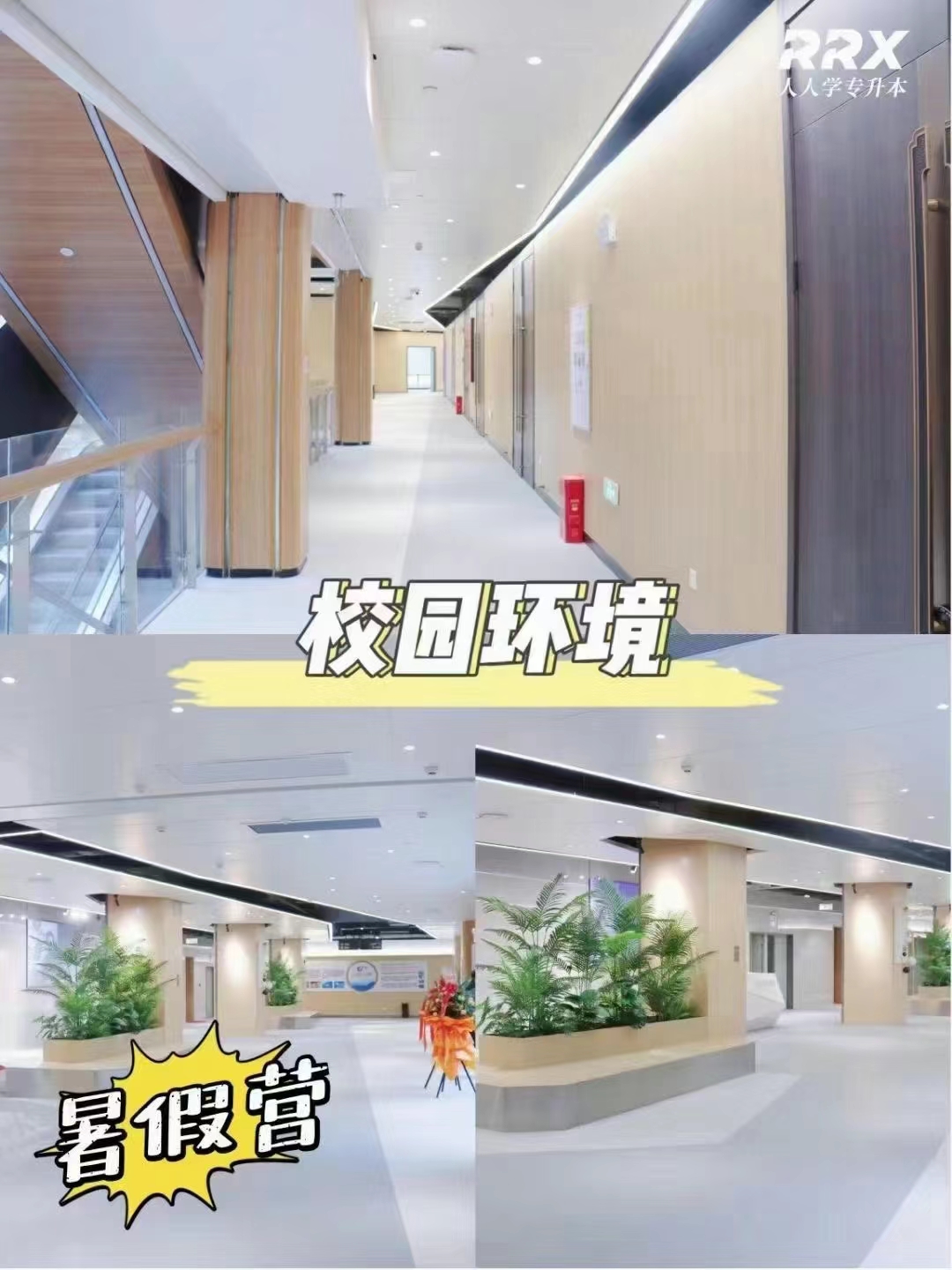 专升本辅导：湖南[人人学教育]专科生备考机构_事半功倍 高效上岸