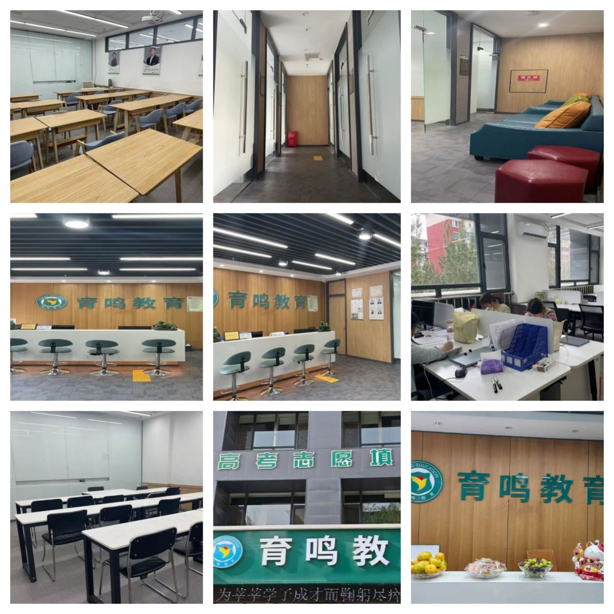 辽宁沈阳值得信任的中考高考志愿填报学校名单汇总