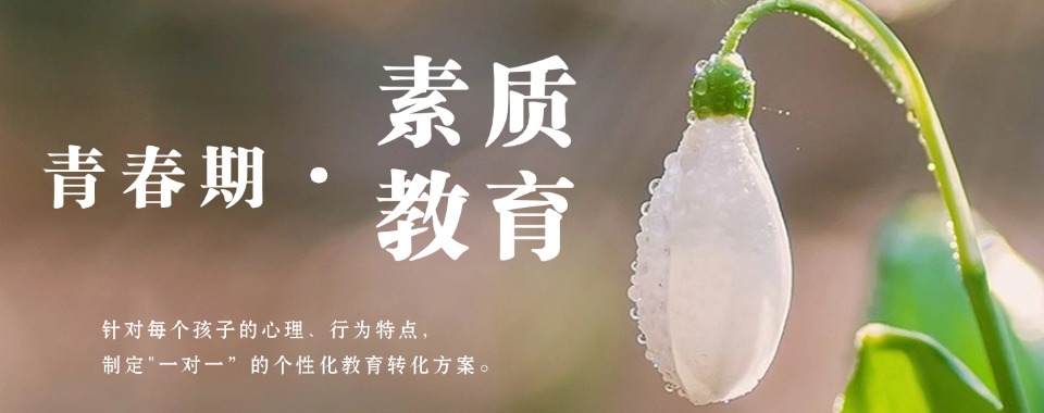 安徽滁州青少年厌学早恋网瘾矫正教育学校归纳排名