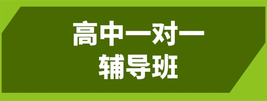 济南市口碑好的高中一对一定制辅导:因材施教,适配学情高效提分