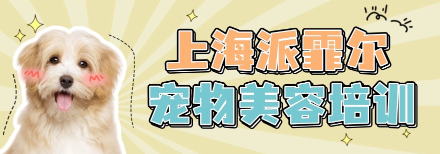 学员强烈推荐的上海市宠物美容培训机构排行榜