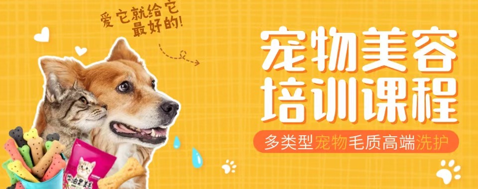 学员强烈推荐的上海市宠物美容培训机构排行榜
