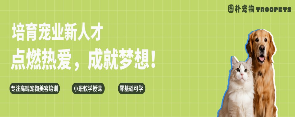 2026杭州市值得力推的宠物美容培训机构推荐
