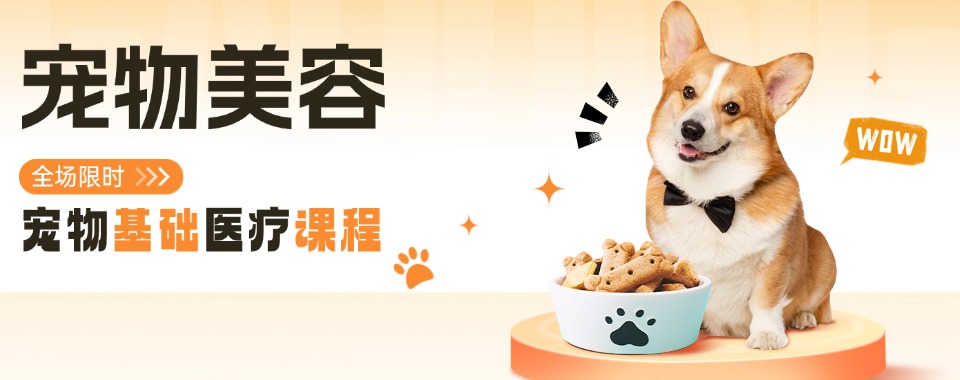 更新江西南宁宠物美容培训学校最新排行榜榜单公布