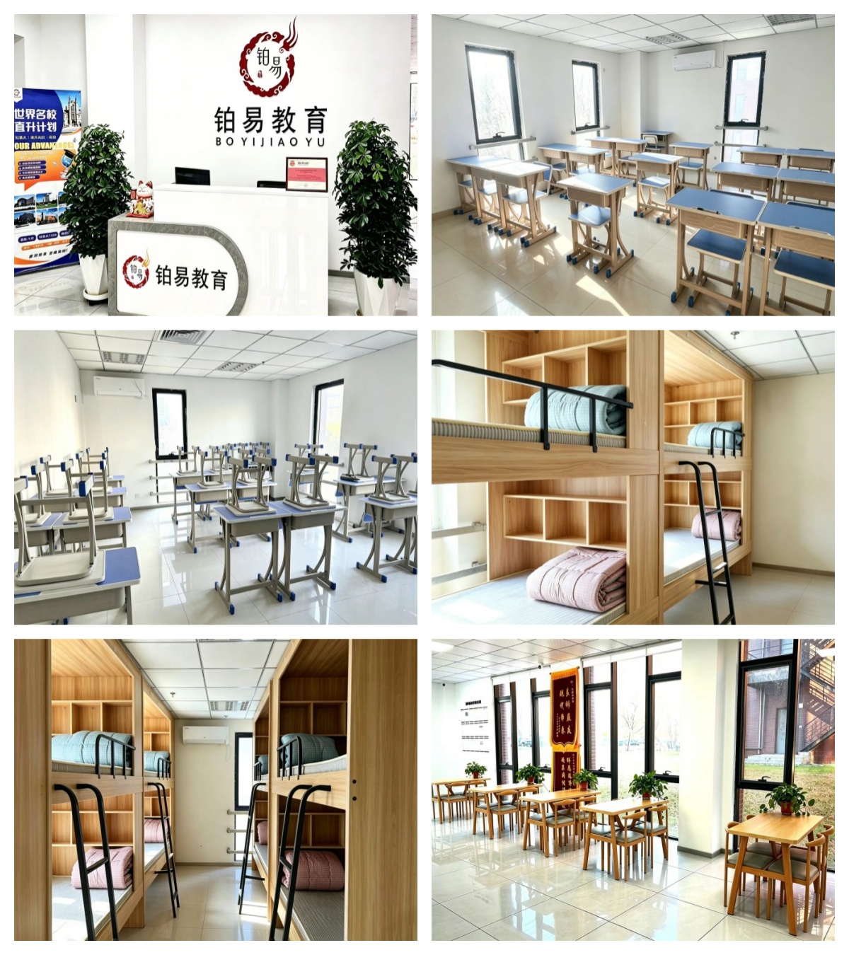 2026沈阳教学成果显著,口碑佳的高三全日制辅导机构