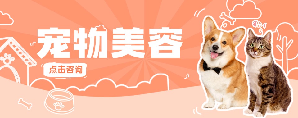 南京市宠物美容培训学校,实操教学手把手教学,集训助力掌握宠物美容技艺