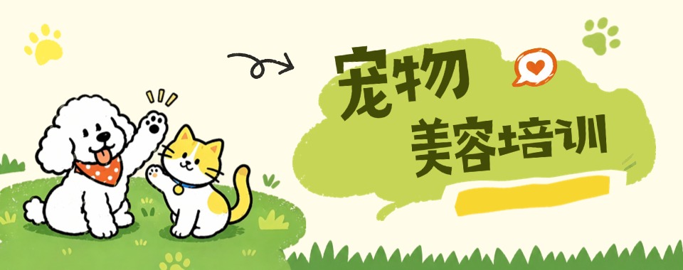 四川省成都市为学宠物美容挑培训机构,哪家是你的贴心之选