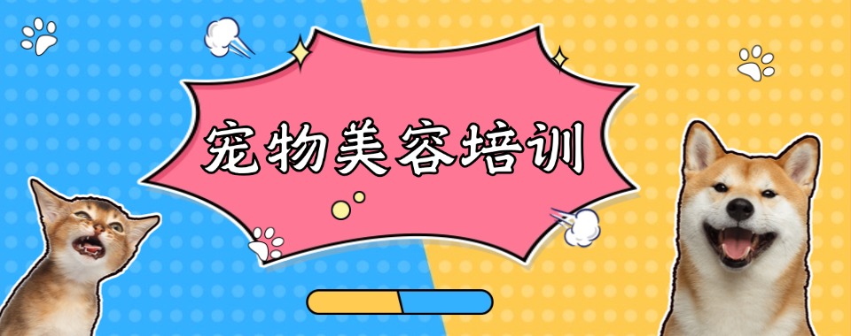 四川省成都市为学宠物美容挑培训机构,哪家是你的贴心之选
