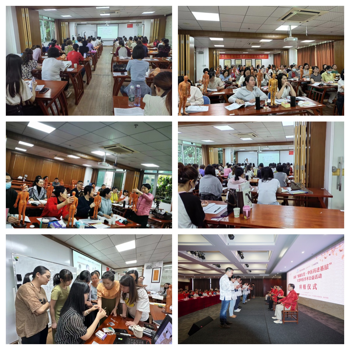 东莞专业针灸技能学习班,名师讲解辨证取穴,零基础学习中医理疗核心技术