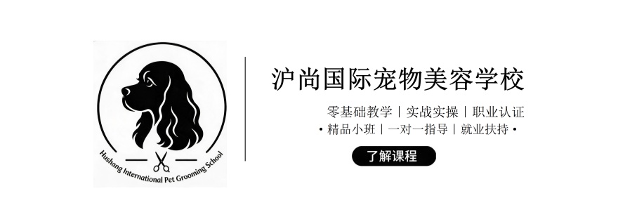 上海市倍受欢迎的宠物美容培训机构十大排名更新