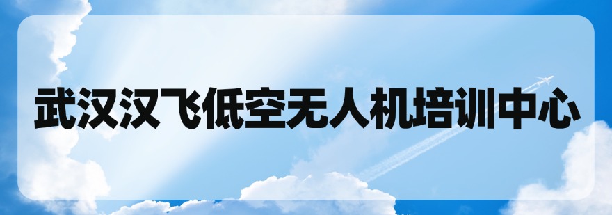 入局低空新兴行业武汉无人机驾驶员十大培训机构梳理