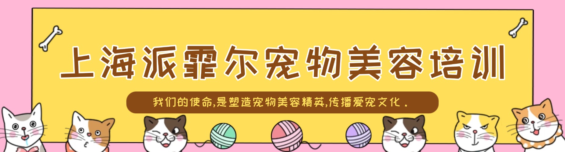 上海地区想学宠物烘焙看十大培训机构真实测评参考指南