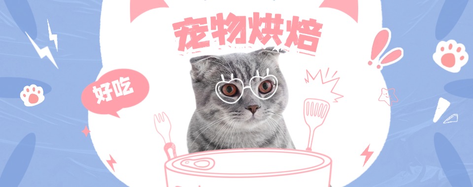 上海地区想学宠物烘焙看十大培训机构真实测评参考指南