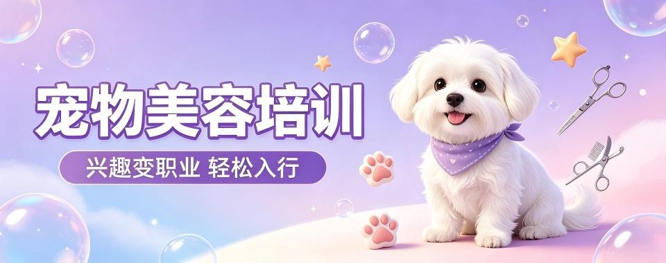 浙江省杭州市想学宠物美容,哪家机构是最优选择