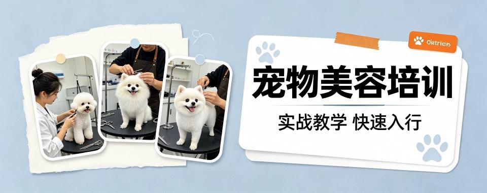 浙江省杭州市想学宠物美容,哪家机构是最优选择