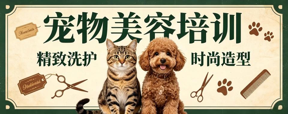 四川省成都市揭秘!宠物美容培训机构哪家实力最强