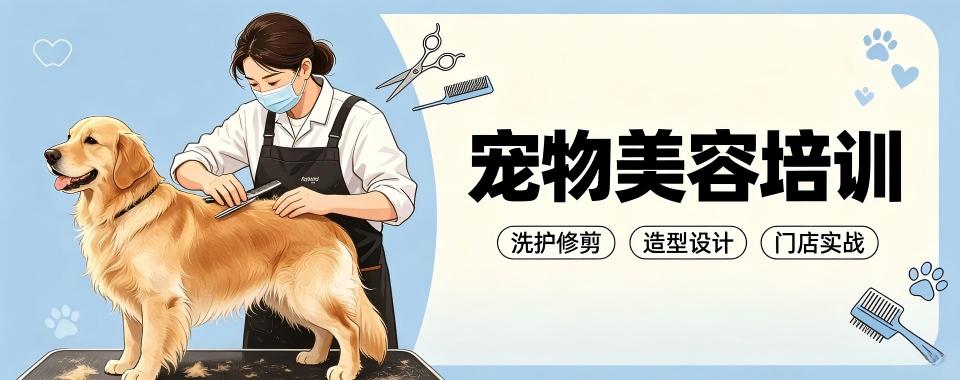 浙江省杭州市这家口碑炸裂的宠物美容培训机构,别错过呀