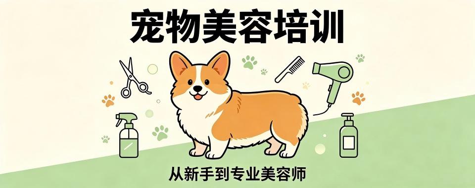 上海地区宠物美容入行创业十大培训机构口碑排名解析