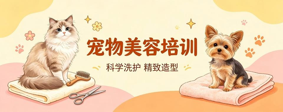2026杭州市揭秘教学效果超棒的五大宠物美容培训机构排名