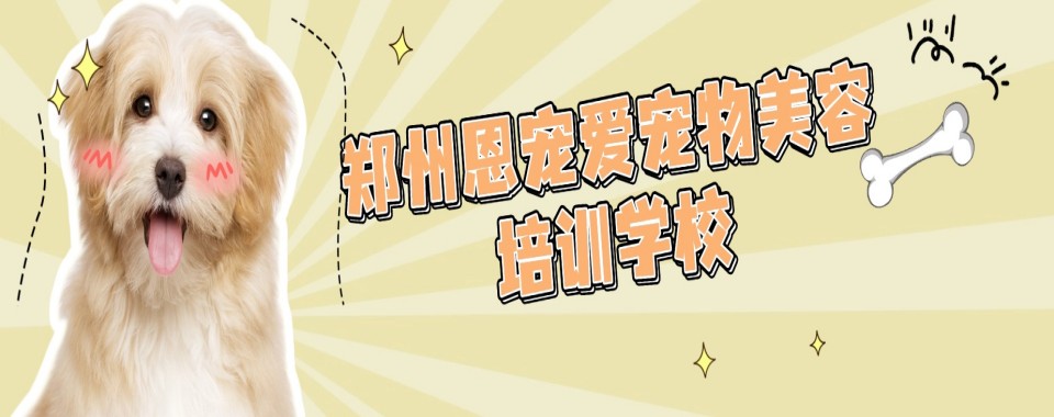 2026河南郑州从各方面对比,宠物美容培训机构哪家最出色