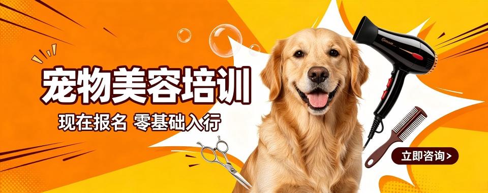 2026河南郑州从各方面对比,宠物美容培训机构哪家最出色