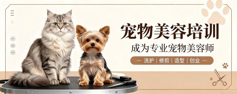 上海宠物美容十大培训机构盘点助力新手挑选靠谱宠美实训机构