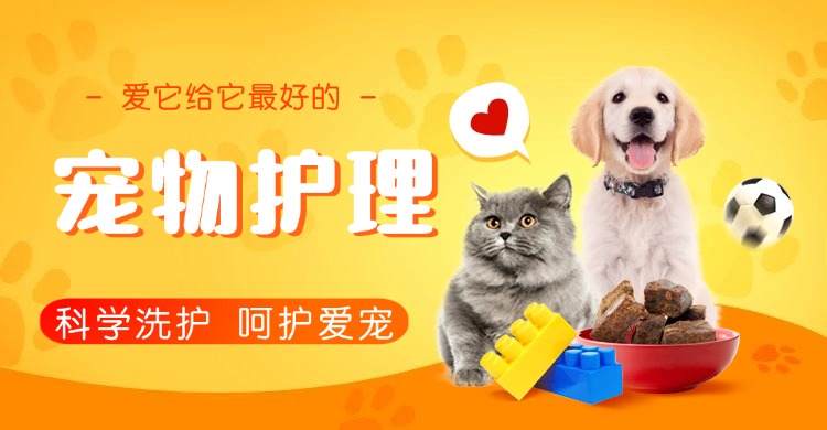 生成 10 张 960-380 带 “电工培训” 字的招生图片