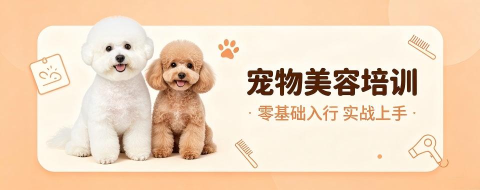 上海宠物美容十大培训机构汇总梳理本地学宠美报班避坑实用要点