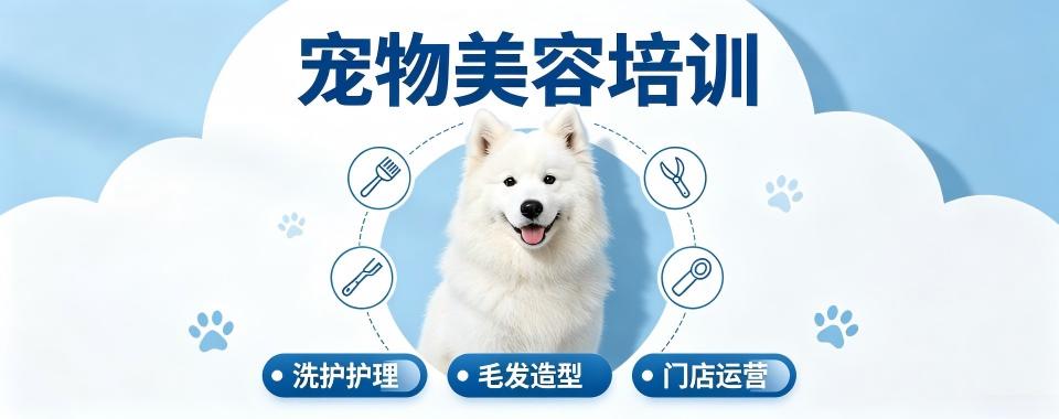 四川省成都市宠物美容培训机构哪家靠谱?全方位解析