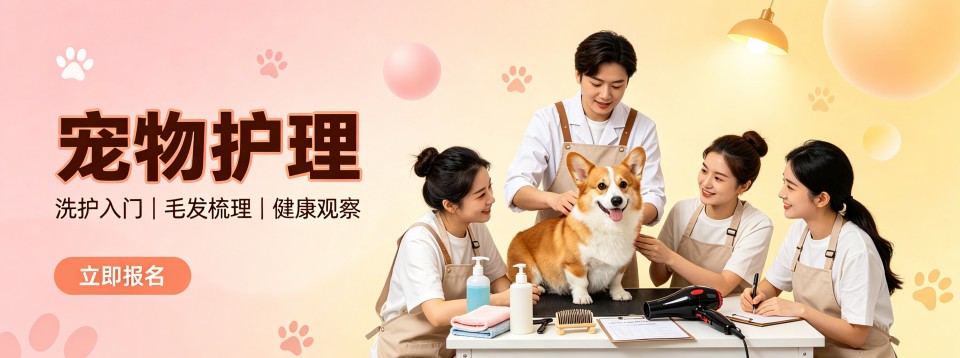 2026广州市宠物护理培训机构哪家强?深度剖析来啦