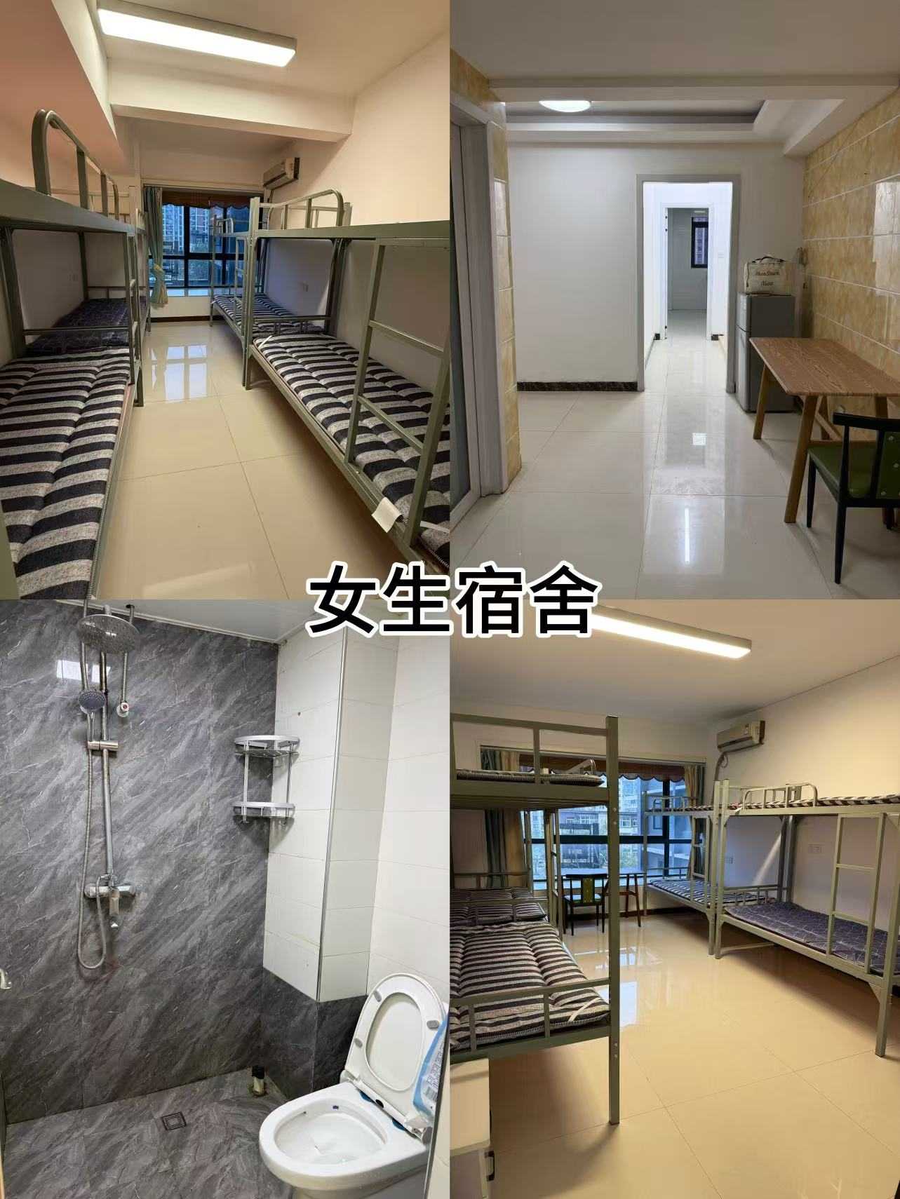 名单更新|2026郑州市宠物美容培训机构名单榜首一览