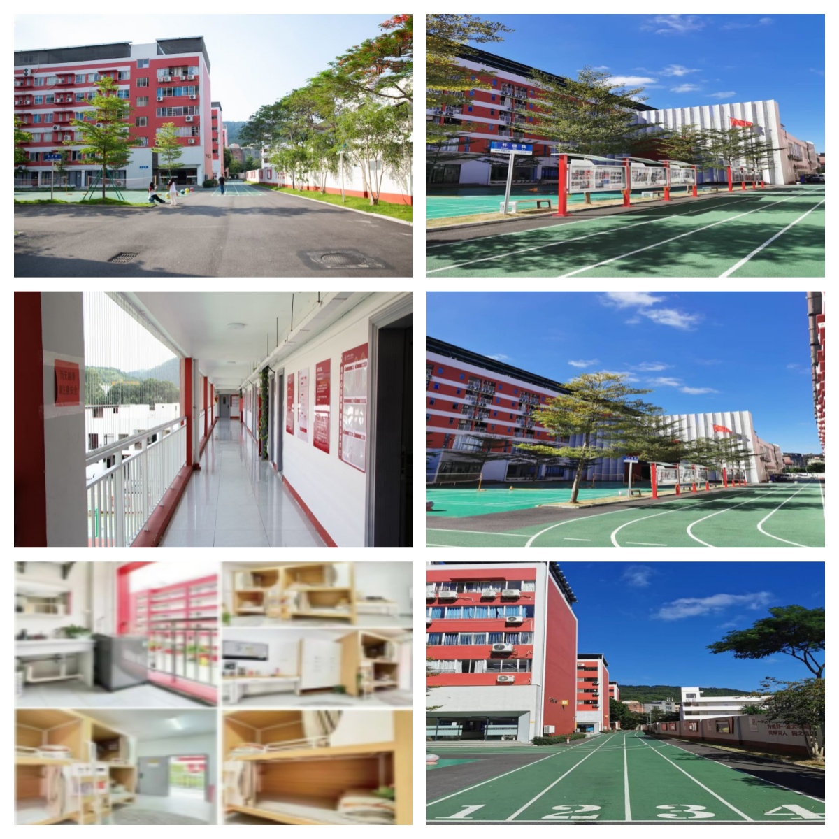 2026广州市让家长安心的口碑好的艺考文化课辅导机构揭秘
