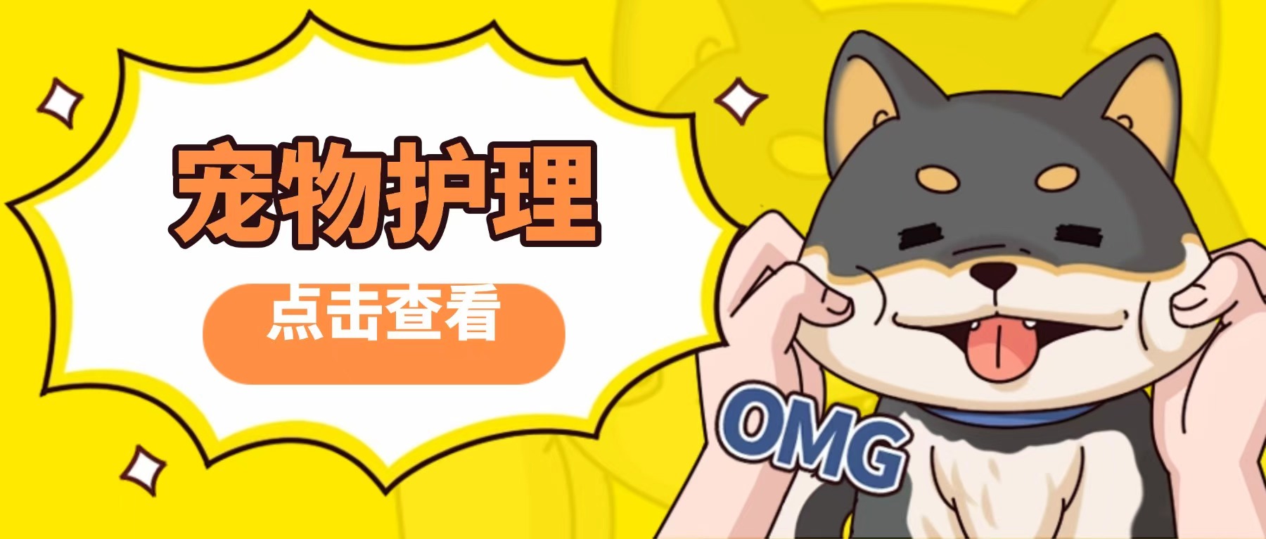 杭州市口碑比较好的宠物美容培训机构前十强排名新鲜出炉