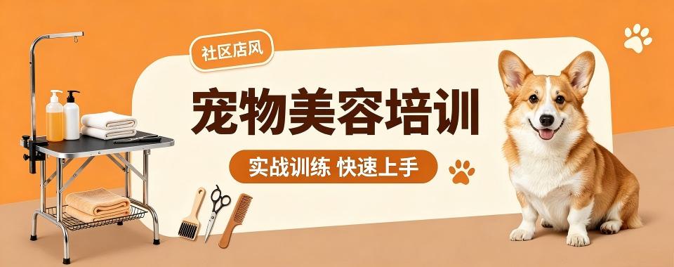 江苏宠物美容师培训机构哪家强?全方位对比告诉你