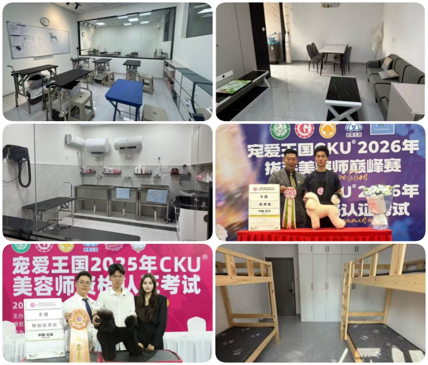 名单盘点|江西宠物美容培训班机构排名最新榜单梳理