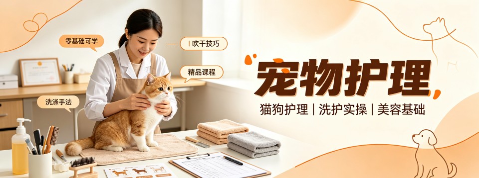 2026上海市口碑绝佳的宠物护理辅导机构大盘点