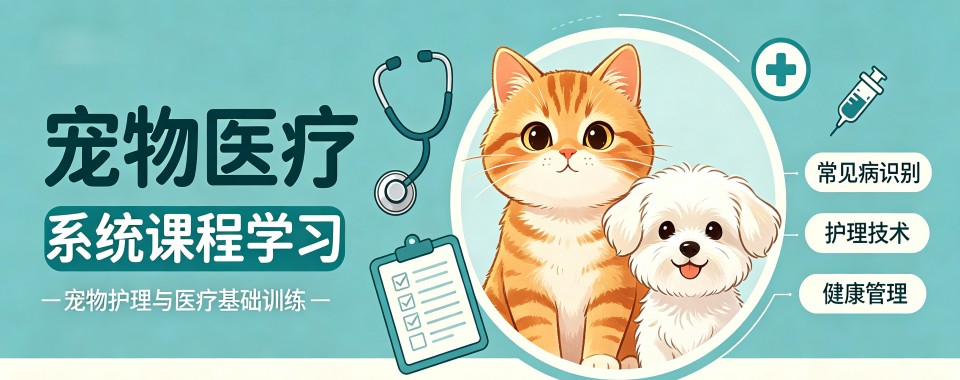 名单盘点|杭州宠物医疗培训机构排行榜前五名有哪些精选一览