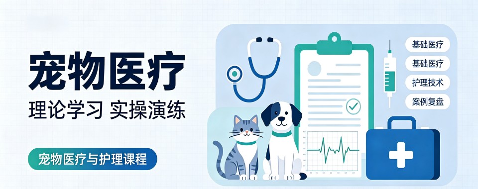 名单盘点|杭州宠物医疗培训机构排行榜前五名有哪些精选一览